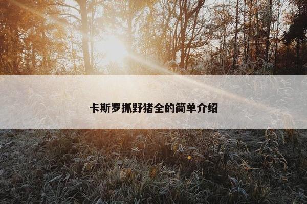 卡斯罗抓野猪全的简单介绍