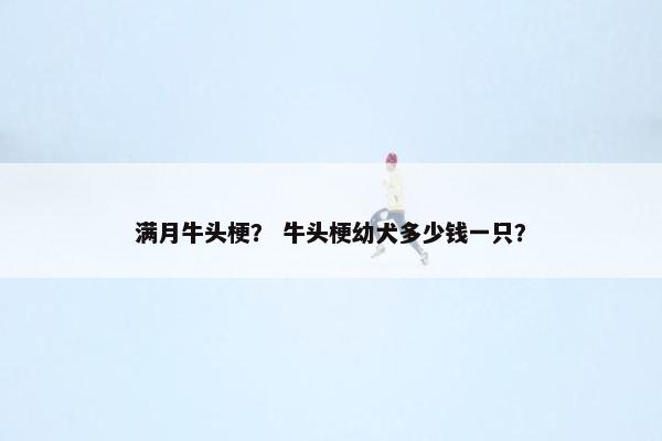 满月牛头梗？ 牛头梗幼犬多少钱一只？
