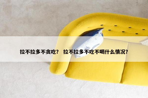 拉不拉多不贪吃？ 拉不拉多不吃不喝什么情况？