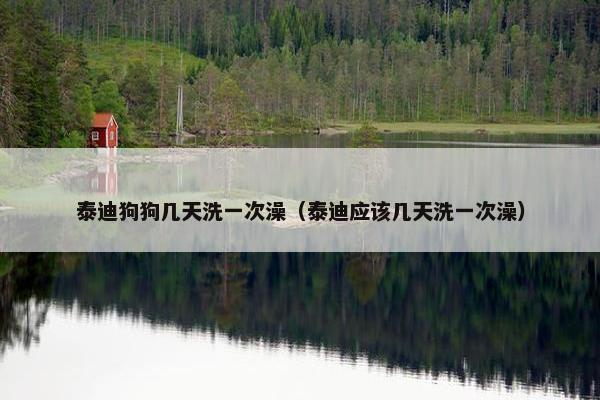 泰迪狗狗几天洗一次澡（泰迪应该几天洗一次澡）