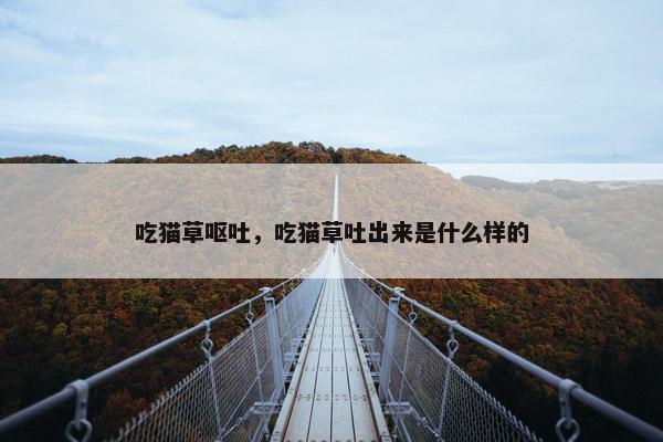 吃猫草呕吐，吃猫草吐出来是什么样的