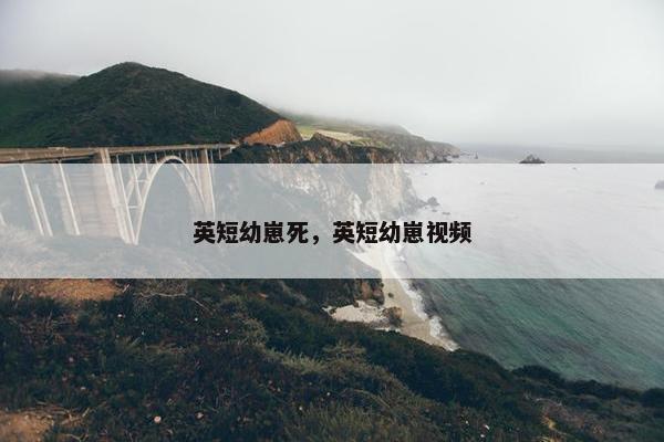 英短幼崽死，英短幼崽视频