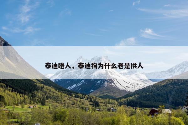 泰迪瞪人，泰迪狗为什么老是拱人