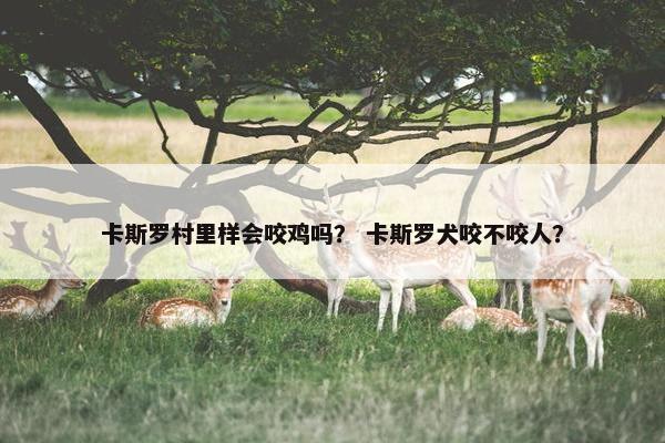卡斯罗村里样会咬鸡吗？ 卡斯罗犬咬不咬人？