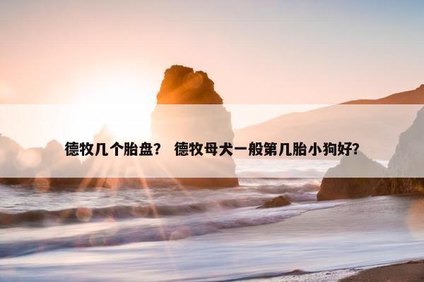 德牧几个胎盘？ 德牧母犬一般第几胎小狗好？