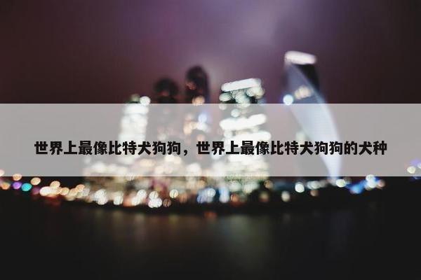 世界上最像比特犬狗狗，世界上最像比特犬狗狗的犬种