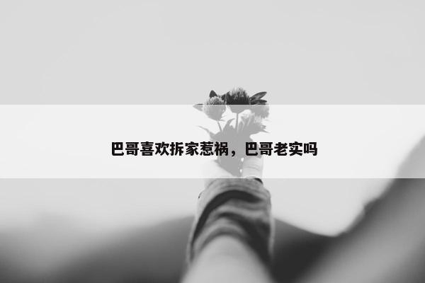 巴哥喜欢拆家惹祸，巴哥老实吗