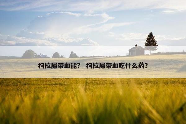 狗拉屎带血能？ 狗拉屎带血吃什么药？