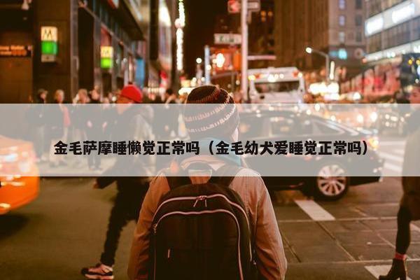 金毛萨摩睡懒觉正常吗（金毛幼犬爱睡觉正常吗）