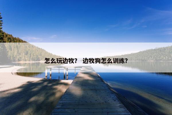 怎么玩边牧？ 边牧狗怎么训练？