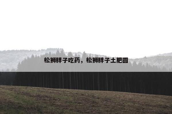 松狮胖子吃药，松狮胖子土肥圆