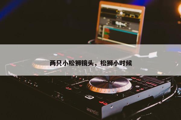 两只小松狮镜头，松狮小时候