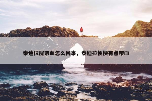 泰迪拉屎带血怎么回事，泰迪拉便便有点带血