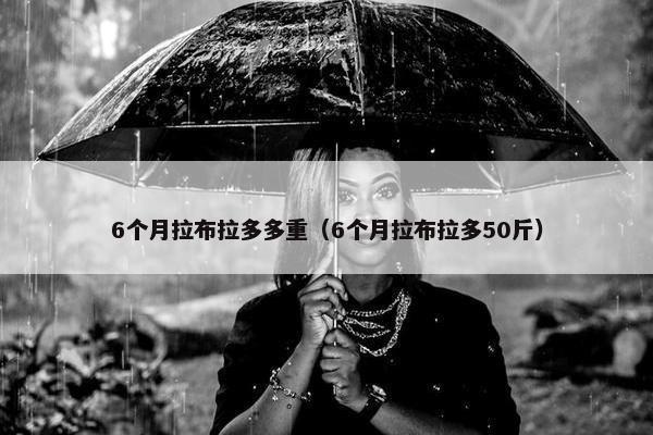 6个月拉布拉多多重（6个月拉布拉多50斤）