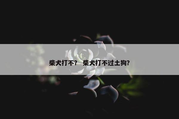 柴犬打不？ 柴犬打不过土狗？