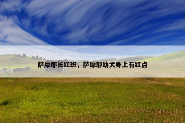 萨摩耶长红斑，萨摩耶幼犬身上有红点