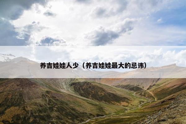 养吉娃娃人少（养吉娃娃最大的忌讳）