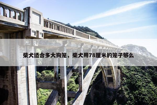 柴犬适合多大狗笼，柴犬用78厘米的笼子够么
