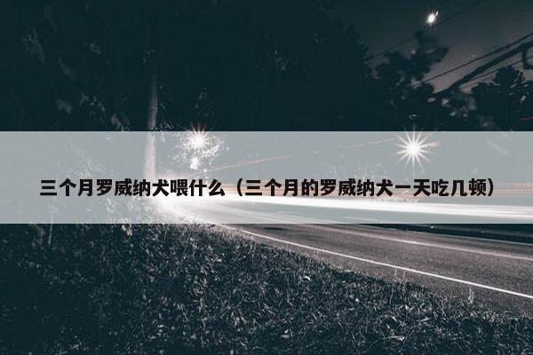 三个月罗威纳犬喂什么（三个月的罗威纳犬一天吃几顿）