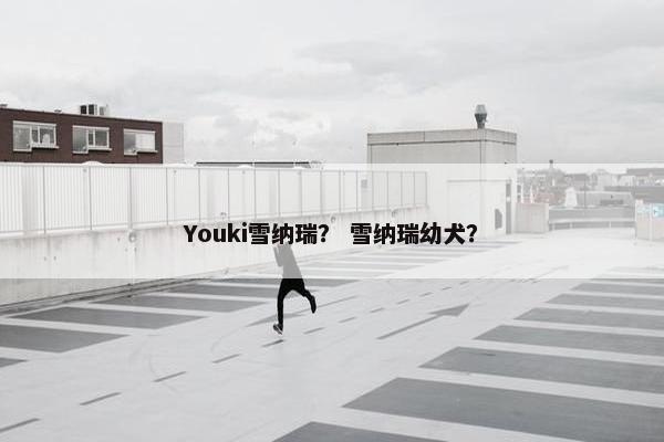 Youki雪纳瑞？ 雪纳瑞幼犬？