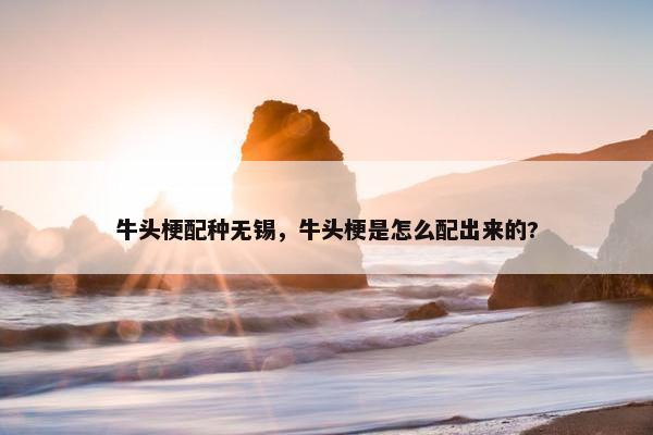 牛头梗配种无锡，牛头梗是怎么配出来的?