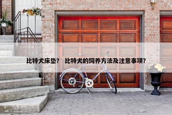 比特犬床垫？ 比特犬的饲养方法及注意事项？