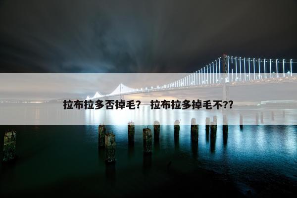 拉布拉多否掉毛？ 拉布拉多掉毛不?？