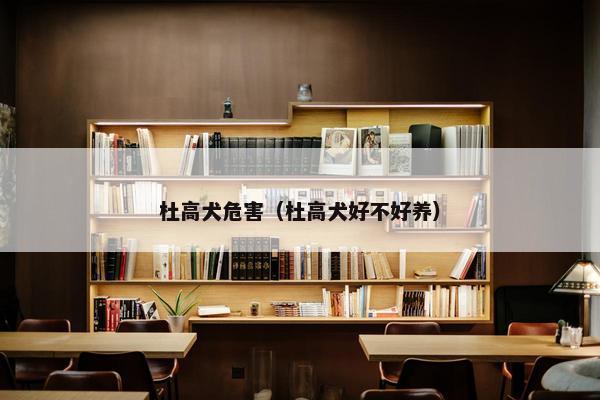 杜高犬危害（杜高犬好不好养）