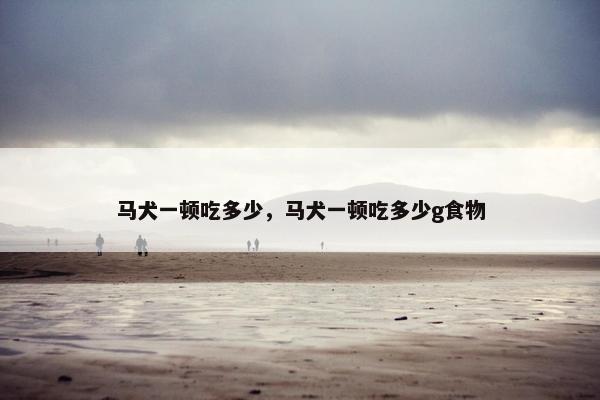 马犬一顿吃多少，马犬一顿吃多少g食物