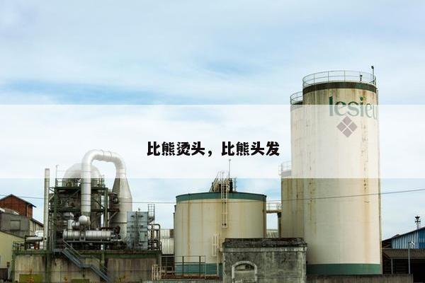 比熊烫头，比熊头发