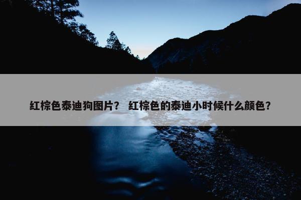 红棕色泰迪狗图片？ 红棕色的泰迪小时候什么颜色？