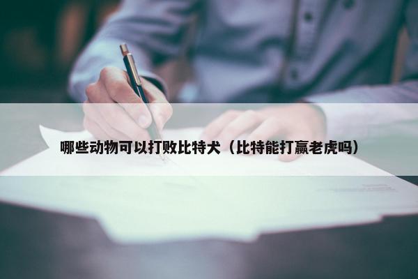 哪些动物可以打败比特犬（比特能打赢老虎吗）