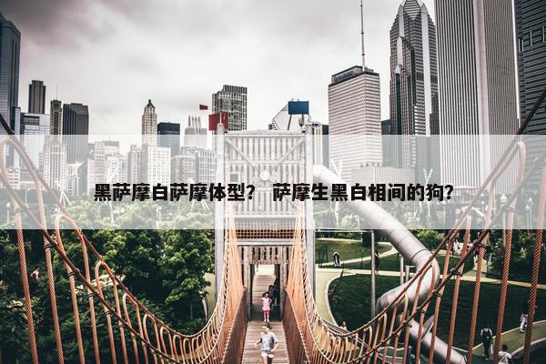 黑萨摩白萨摩体型？ 萨摩生黑白相间的狗？