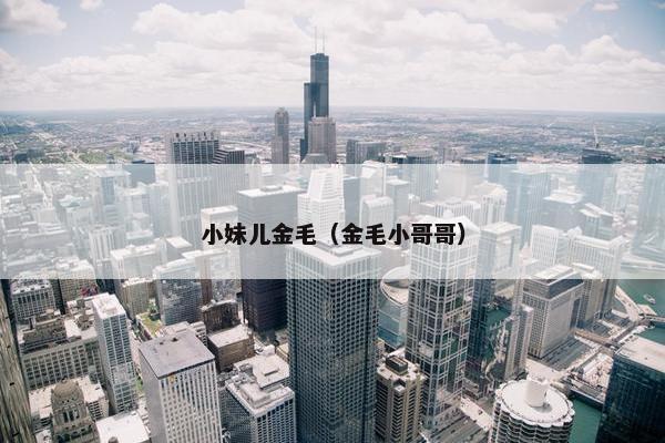 小妹儿金毛（金毛小哥哥）