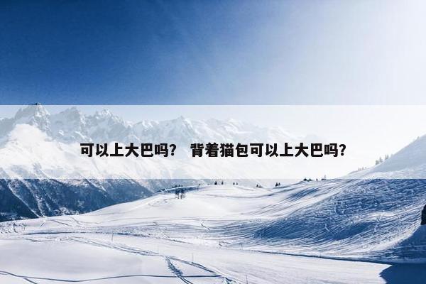 可以上大巴吗？ 背着猫包可以上大巴吗？