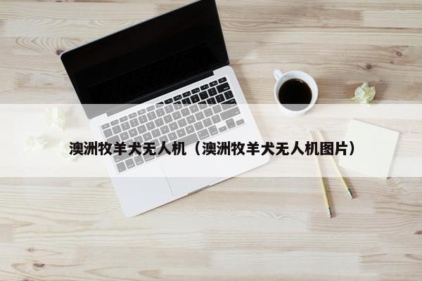 澳洲牧羊犬无人机（澳洲牧羊犬无人机图片）