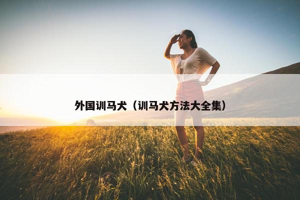 外国训马犬（训马犬方法大全集）