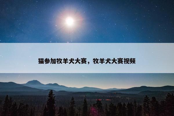 猫参加牧羊犬大赛，牧羊犬大赛视频