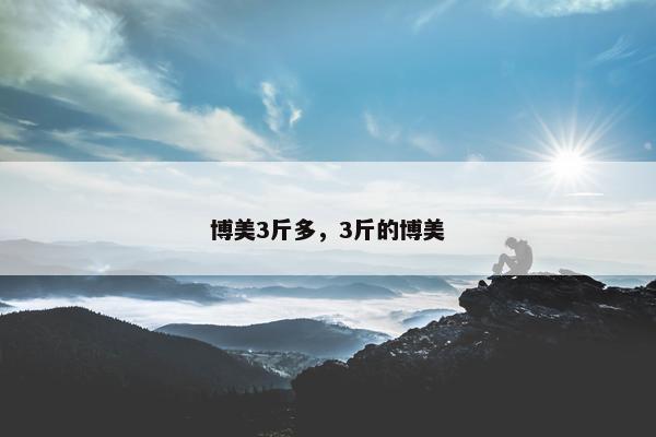博美3斤多，3斤的博美