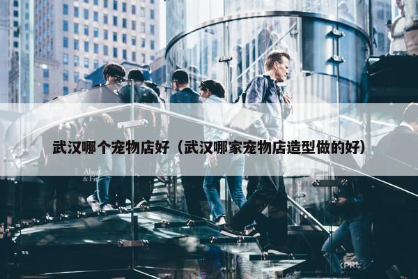 武汉哪个宠物店好（武汉哪家宠物店造型做的好）