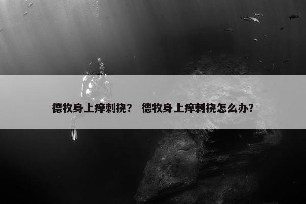 德牧身上痒刺挠？ 德牧身上痒刺挠怎么办？