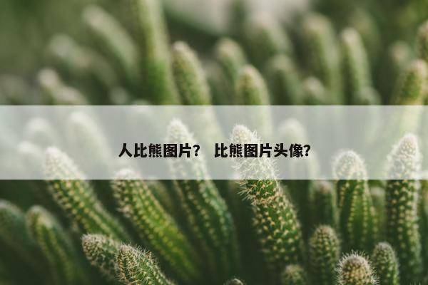 人比熊图片？ 比熊图片头像？