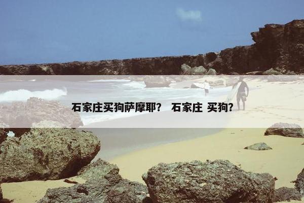 石家庄买狗萨摩耶？ 石家庄 买狗？