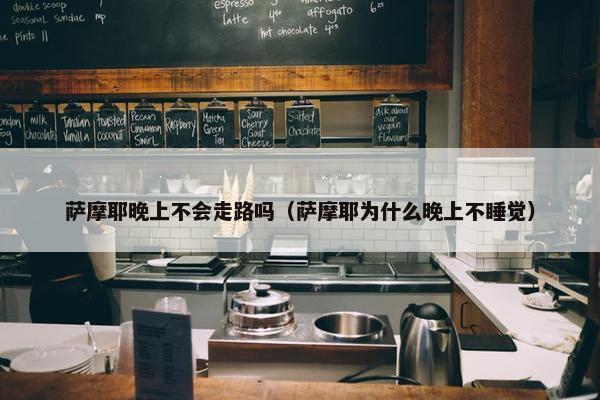 萨摩耶晚上不会走路吗（萨摩耶为什么晚上不睡觉）