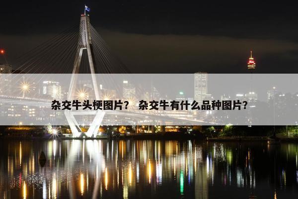 杂交牛头梗图片？ 杂交牛有什么品种图片？