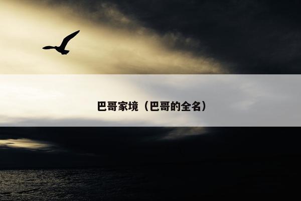 巴哥家境（巴哥的全名）
