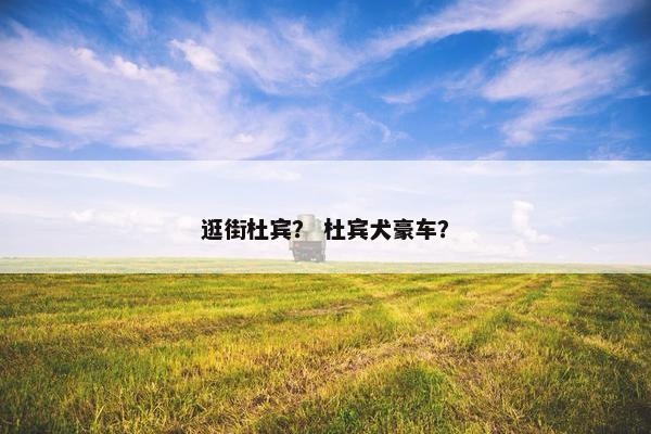 逛街杜宾？ 杜宾犬豪车？