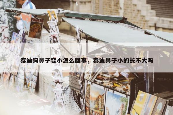 泰迪狗鼻子变小怎么回事，泰迪鼻子小的长不大吗