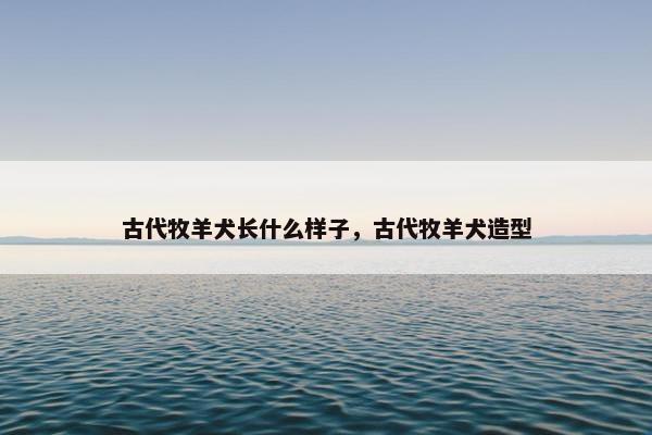 古代牧羊犬长什么样子，古代牧羊犬造型
