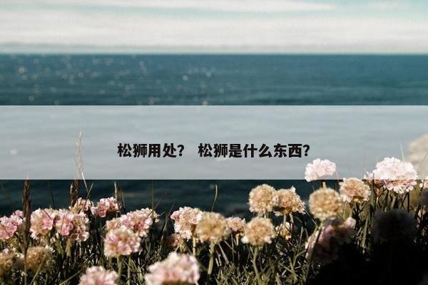 松狮用处？ 松狮是什么东西？